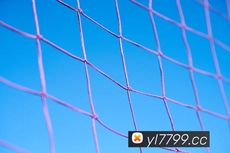 永利国际全站App
